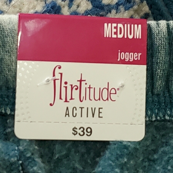 Flirtitude Boyfriend Fit Jogger Zenith Teal M Oversized NWT - Picture 8 of 12
